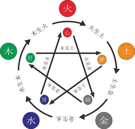 五行木太多|八字木太多怎么办 (一个人五行木太多了怎么办)